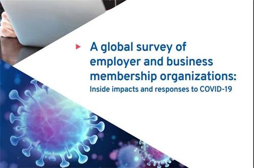 微信图片_20200819123239 微信图片_20200819123239